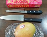 世界初？かもな、マンゴーの種無し化作り方16写真