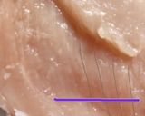 鶏胸肉を柔らかく食べる下処理の仕方作り方4写真