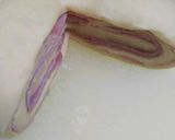 ふわふわ♪ハムロール＊懐かしい惣菜パン作り方6写真
