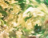 簡単ヘルシー♪ 空芯菜と春雨の卵スープ作り方3写真
