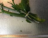 納豆とミニトマトのスープ作り方3写真