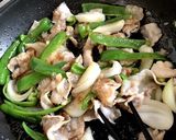 市販のニンニク味噌で豚バラと野菜炒めもの作り方9写真