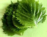 市販のニンニク味噌で豚バラと野菜炒めもの作り方11写真