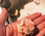 フワッと焼売作り方5写真