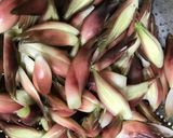 茗荷の味噌漬け♪ここがポイント！失敗なし作り方1写真