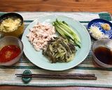 栄養満点!ナスと鶏肉のささみの素麺風作り方10写真