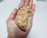 しいたけの肉詰め作り方3写真
