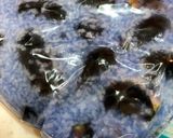 小ナスのふっくら漬けなす作り方5写真