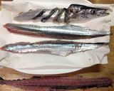 秋刀魚のお刺身☆無駄なし超簡単な捌き方作り方4写真