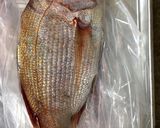 美川天然真鯛で鯛めし作り方1写真