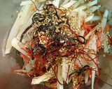 大根皮と桜えびの和え物作り方1写真