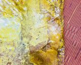 レンジで☆鶏むね肉のカレーチーズ蒸し作り方1写真