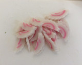 白だしで＊豆苗となるとの煮びたし作り方2写真