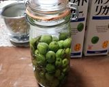 サルナシ酒・・・美味しい果実酒です作り方4写真