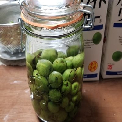サルナシ酒・・・美味しい果実酒です by 福井のおじじ