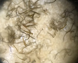 秋刀魚と実山椒のもち麦入り炊き込みごはん作り方1写真