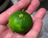 すだちとみょうがでサッパリ冷しゃぶ風作り方6写真