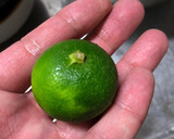 すだちとみょうがでサッパリ冷しゃぶ風作り方6写真
