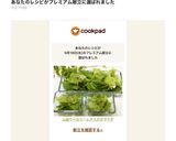 山盛りペロリ☆レタスだけサラダ作り方6写真