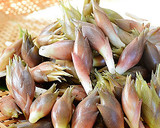 みょうがとトマトの梅肉麺つゆ和え♪作り方1写真