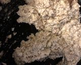 和風インドチキンカレーとブリヤーニ作り方8写真