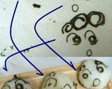 キャラ弁♪顔だけクレしんおにぎり作り方4写真