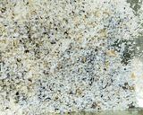 メカジキの梅しそパン粉焼き★☆作り方4写真