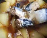 サバ缶と大根の煮物作り方3写真