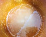 生クリーム不使用!レアチーズケーキ作り方6写真