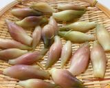 和味☆みょうがの甘酢漬け作り方3写真