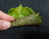 【人参と大葉のサラダ～キャロットラぺ～】作り方4写真