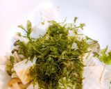 簡単♪作り置き高タンパク質でビタミン豊富作り方3写真