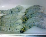 簡単おいしい海老春巻き作り方2写真