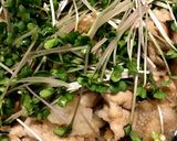 豚しゃぶのおろし煮作り方7写真