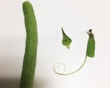 秋のきのこ炒め作り方6写真