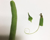 秋のきのこ炒め作り方6写真
