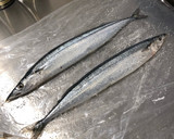 フライパンで簡単！秋刀魚の塩焼き♡作り方1写真