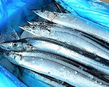 秋刀魚のしょうが風味のスティック揚げ♪作り方1写真