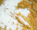 おふくろ直伝青唐辛子の油味噌作り方7写真