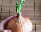 【捨てずに活用】玉ねぎの芽*ナムル作り方1写真