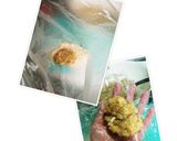 大好き魚ロッケ(ギョロッケ)我が家流♡作り方4写真
