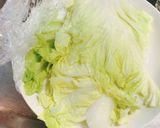 レンチン白菜とササミの棒棒鶏風ごまサラダ作り方2写真
