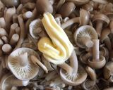 レンジできのこバタぽん♡作り方1写真