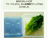 リーフレタス活用作り方9写真