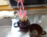 最速の鍋のコーヒー作り方17写真