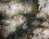 うちのフライドチキン!作り方5写真