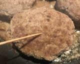 ハンバーグ＋高野豆腐　簡単　ガッテン　作り方21写真