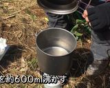 山ごはん簡単鶏とパクチーともやしのフォー作り方2写真
