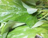 空芯菜(エンツァイ）の中華風煮作り方1写真