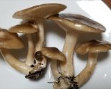 ハタケシメジの温蕎麦・花付き茗荷入り作り方1写真